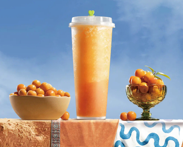 奈雪的茶加盟费明细表2024，奈雪的茶加盟条件有什么