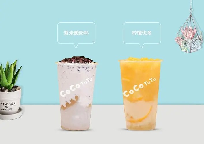 CoCo都可奶茶加盟费用需要多少钱？CoCo都可奶茶加盟条件分析