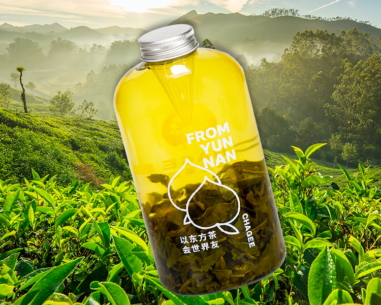 霸王茶姬加盟多少钱左右，霸王茶姬加盟店需要多少钱